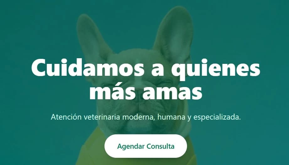 Ejemplo de página web para veterinaria desarrollada por DakDev